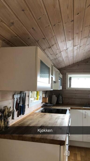 Koselig Familiehytte Pa Vakre Dagali - Naer Geilo Buitenkant foto