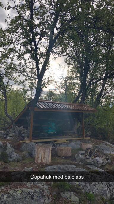 Koselig Familiehytte Pa Vakre Dagali - Naer Geilo Buitenkant foto