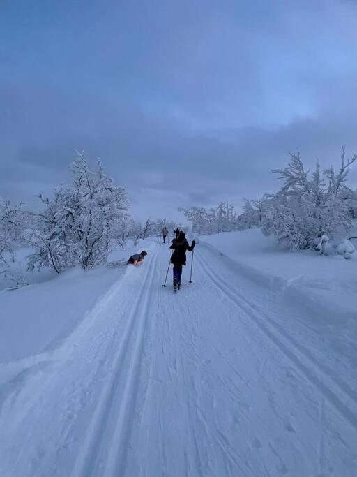 Koselig Familiehytte Pa Vakre Dagali - Naer Geilo Buitenkant foto