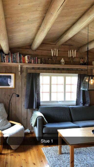 Koselig Familiehytte Pa Vakre Dagali - Naer Geilo Buitenkant foto
