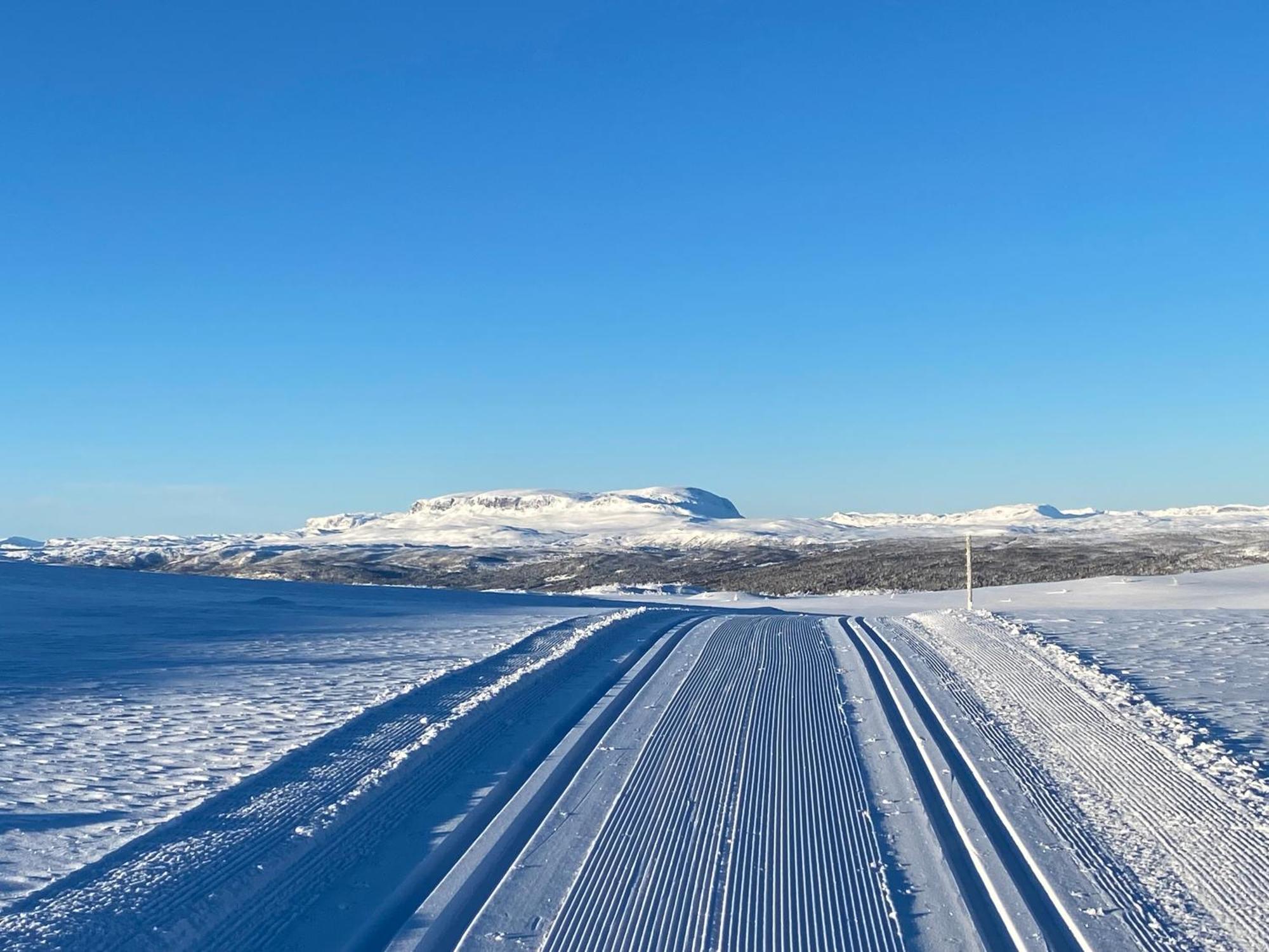 Koselig Familiehytte Pa Vakre Dagali - Naer Geilo Buitenkant foto